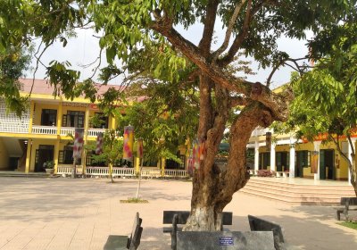 BÁO CÁO THƯỜNG NIÊN 2024